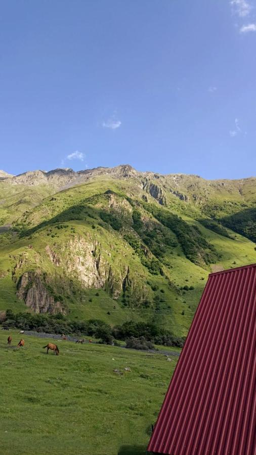 Mountain Flower Cottage Kazbegi Luaran gambar
