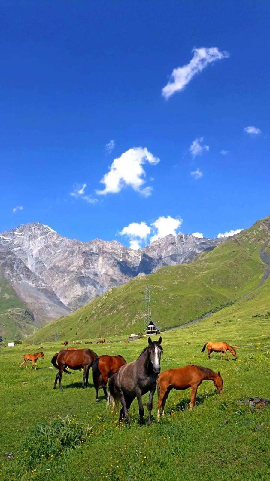 Mountain Flower Cottage Kazbegi Luaran gambar